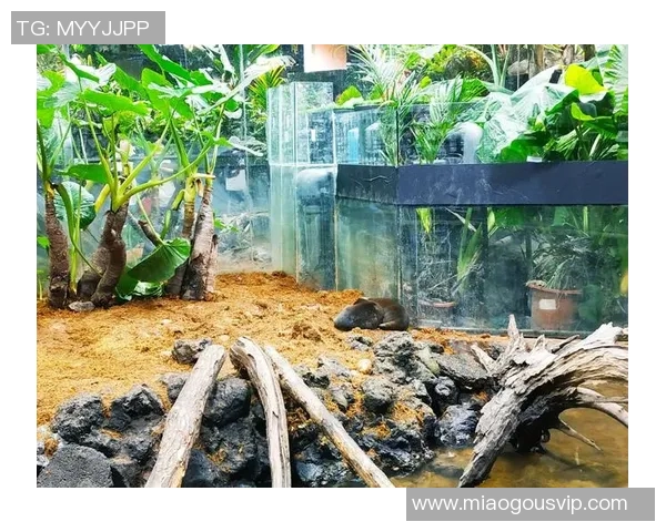 探索玉昆石柯卡位的自然奇观与人文魅力之旅