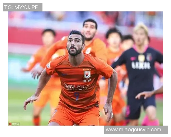 四川金强开启新赛季征程，球迷期待新赛季成绩